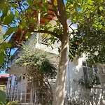 Irmak Çıralı