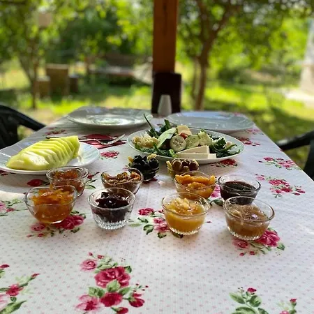 Irmak Pensiune *