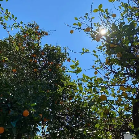 Irmak Pensionat Çıralı