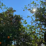 Irmak בית הארחה Çıralı