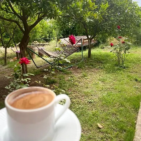 契拉勒俄麦克旅馆 招待所