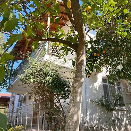契拉勒俄麦克旅馆 Çıralı