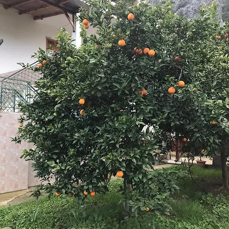 Irmak Konukevi 4*
