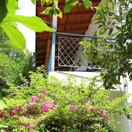 Irmak Çıralı