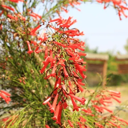 契拉勒俄麦克旅馆